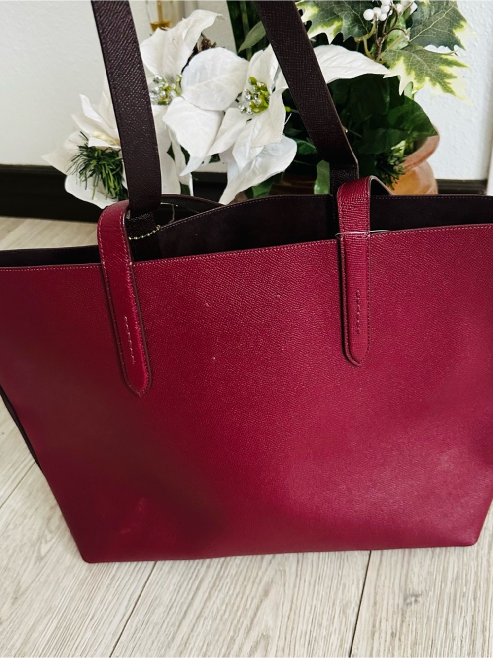 NEVER USED — Coach Deep Red Ombré
Highline Tote: Rainbow Rexy Dino and
Carriage - Picture 4 of 10
